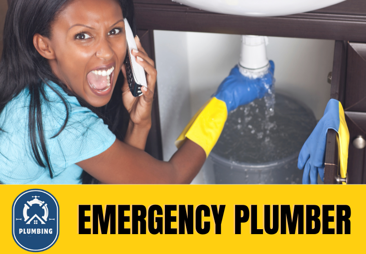 emergency plumber Minster